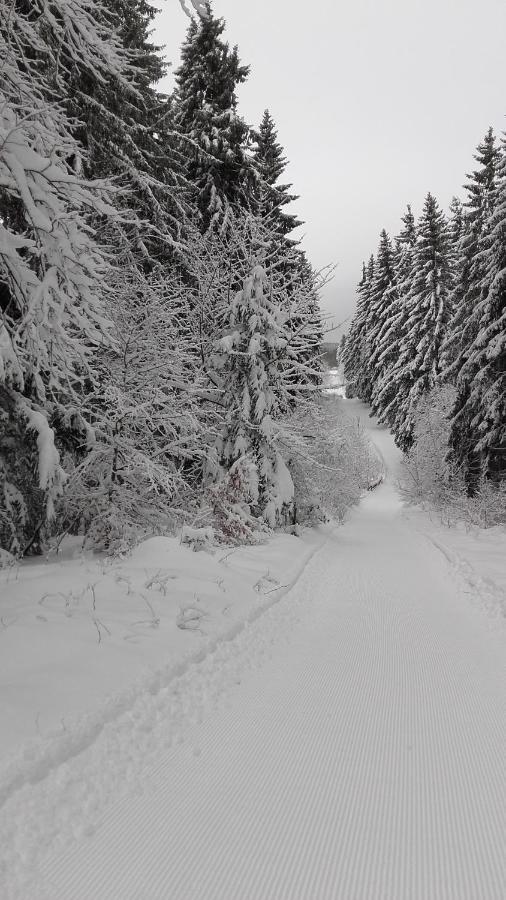 Appartamento Haus Tippe Braunlage Esterno foto
